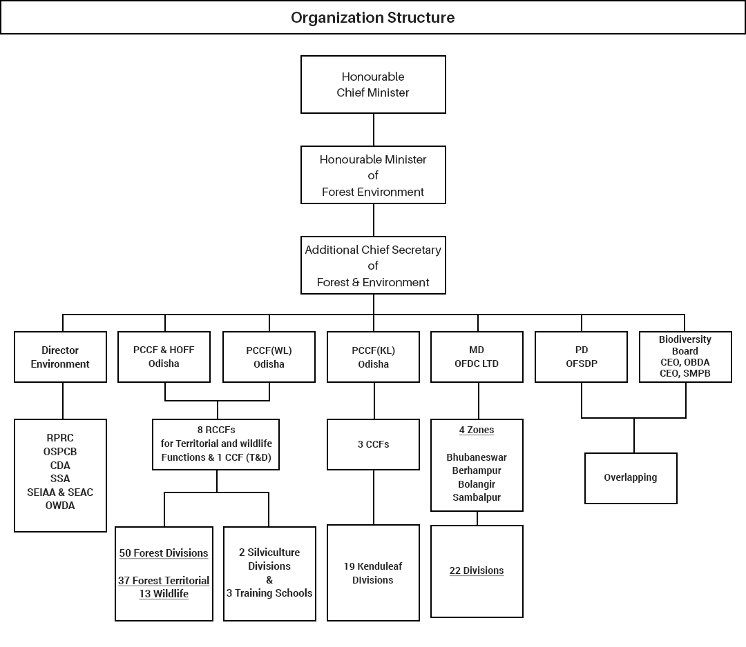Org. Structure